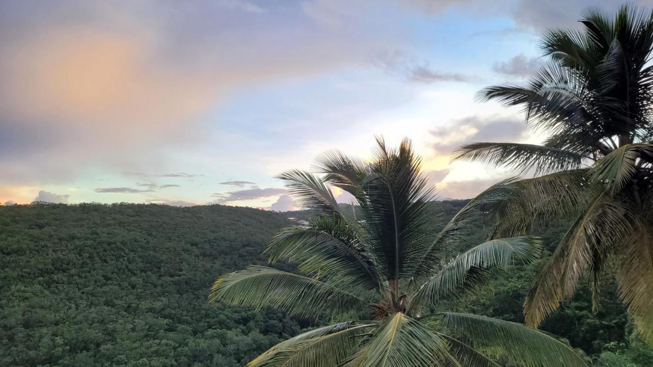 Domaine Karaibes Villa Deshaies Buitenkant foto