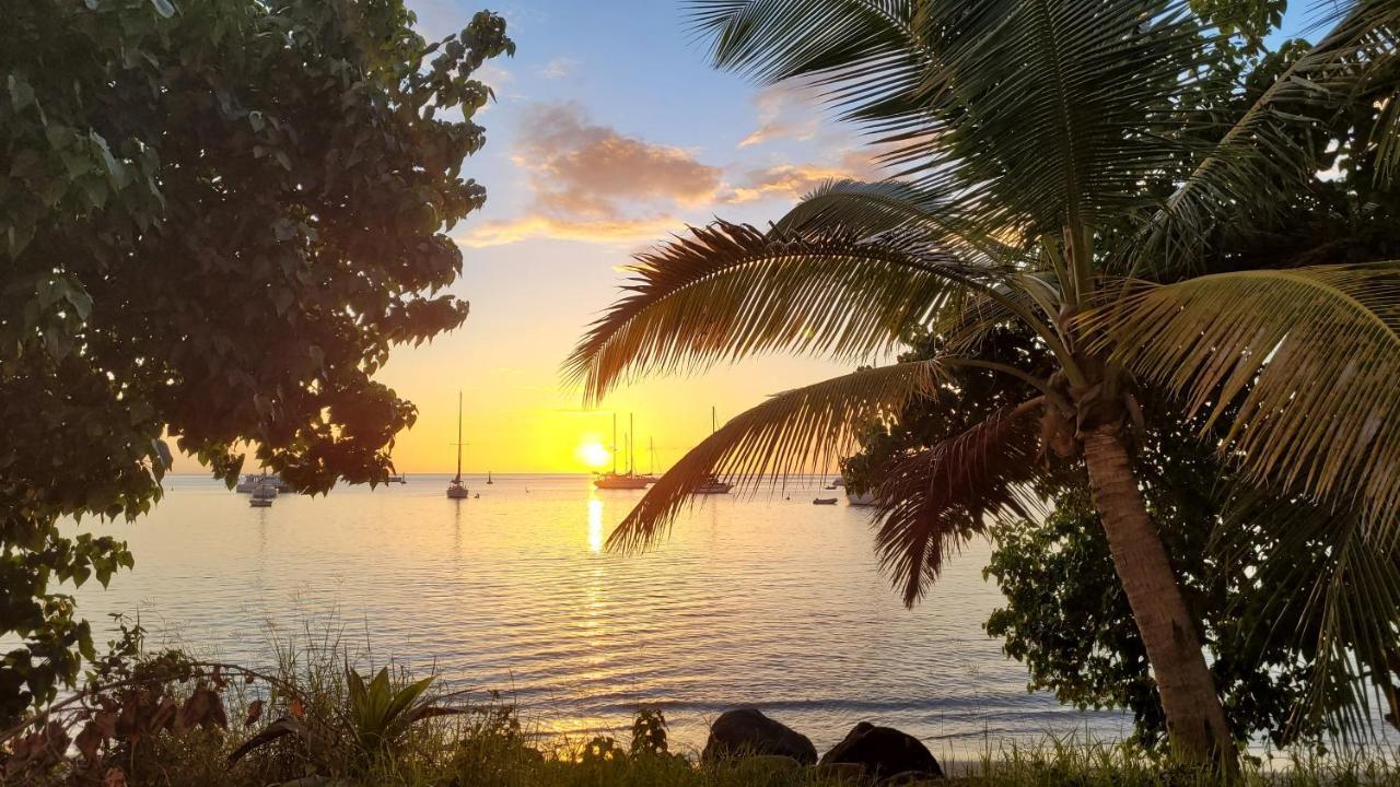Domaine Karaibes Villa Deshaies Buitenkant foto