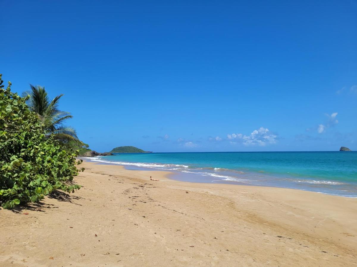 Domaine Karaibes Villa Deshaies Buitenkant foto